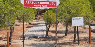 ayvalikin-mesire-alaninda-kent-mobilyalari-bastan-sona-yenileniyor-OcrzRZFJ.jpg