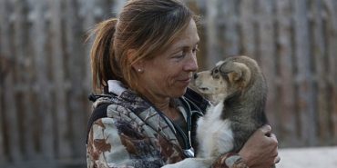 yukon-veterinerine-hurmet-ozel-kismi-national-geographic-wild-ekranlarinda-VJF6KVwq.jpg