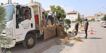 zeytin-dali-bulvarinda-renkli-duzenleme-mavi-servi-ve-leylandi-agaclari-yerlerini-aliyor-q7EXqcuB.jpg