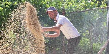 korkuteli-yesiloba-yaylasinda-buyuleyici-bir-bugday-hasadi-basladi-G4M38h4g.jpg