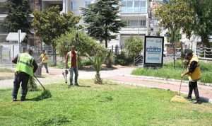 baskan-cercioglunun-ilgi-ceken-calismalariyla-soke-ve-sokeliler-zirveye-ulasiyor-I2ERCG3w.jpg