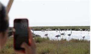 flamingo-yolu-turlariyla-doganin-buyuleyici-sirrini-kesfetmeye-davetlisiniz-j6QxGT8D.jpg